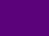 Robison-Anton Polyester - 5554 Purple